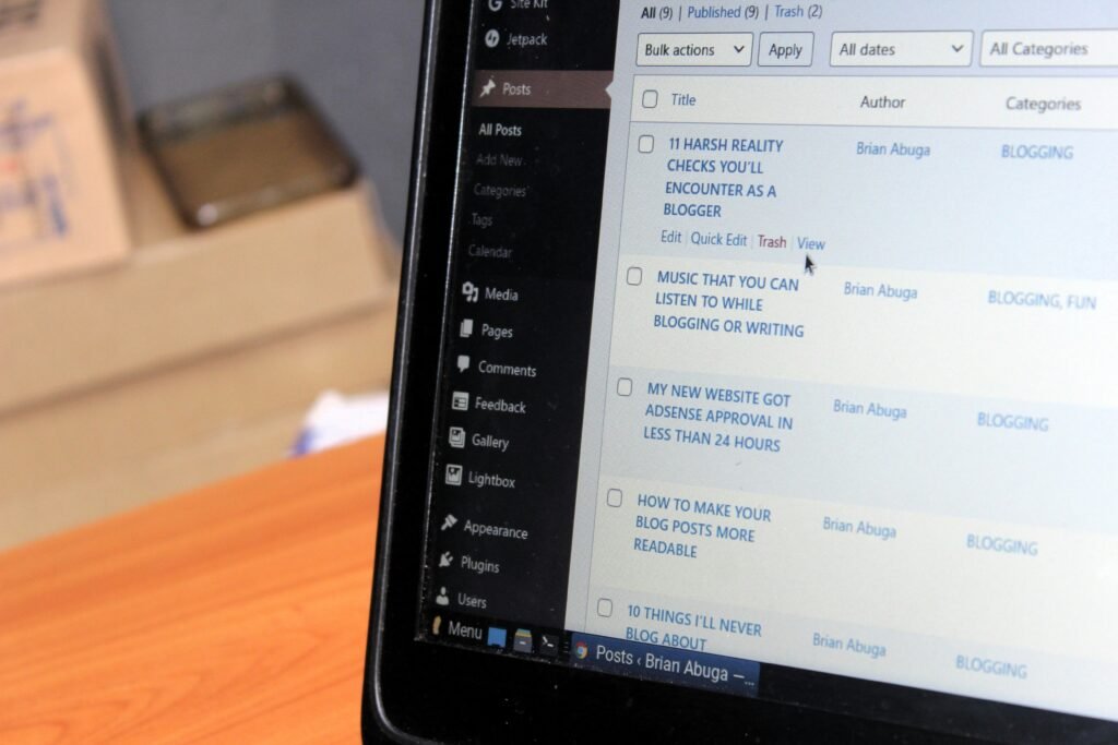 What Are Some Common Issues That Can Affect WordPress Performance?